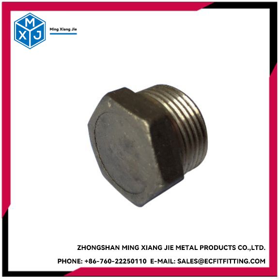 316 Series Plug Hexagon or Square headed